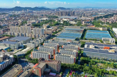 本年上半年P增加6.5 