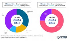 云供给商对人工智能驱动的乐不雅 